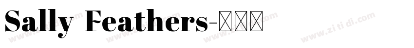 Sally Feathers字体转换